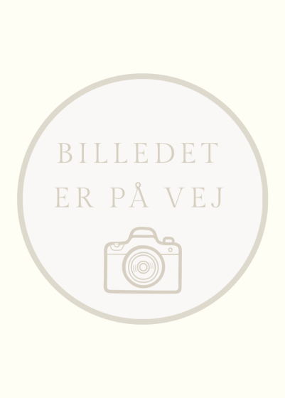 Hasselnødde Praline Ristet (EU organic) 1000g