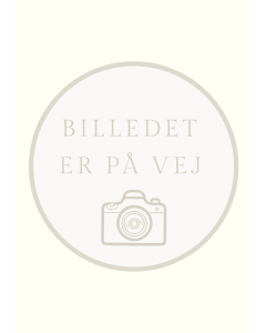 Hasseln&oslash;dde Praline Ristet (EU organic) 1000g