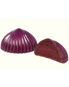 Solbær ganache (EU organic)
