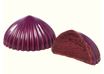Solbær ganache (EU organic) 